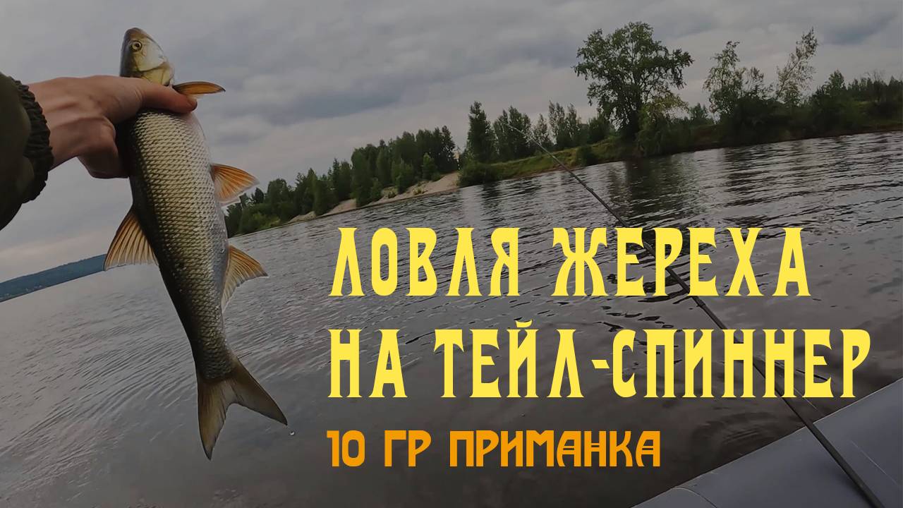 98cdec8100ca64756a70a18504f4d7bf