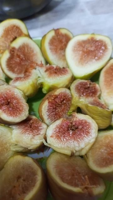 29.08.24 Инжир.mp4