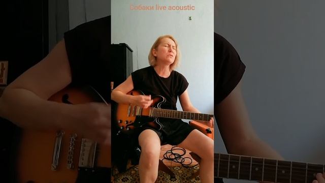 плачь и пой #собаки #live #music