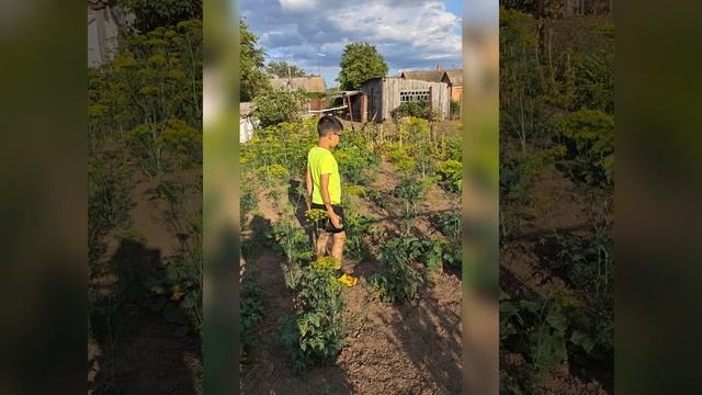 Артём в огороде у бабушки