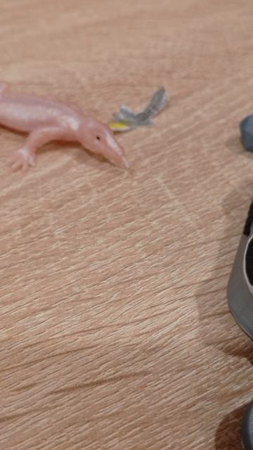 84da169f07a8aaee174e5c0786eaf1d9