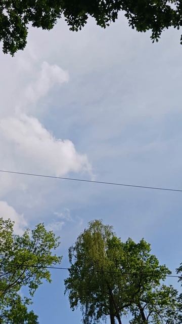 7999ca80d45fd82d9b5b350797d3c779