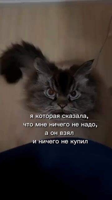 F3c54cbad452605b0c3e4f1f752a99b4