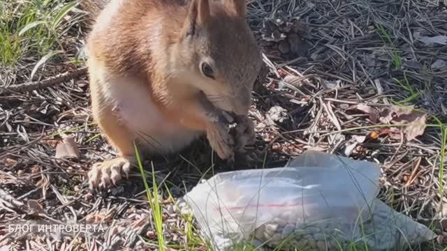 Fb993f57d7cfcec29dac9ac1630916a2