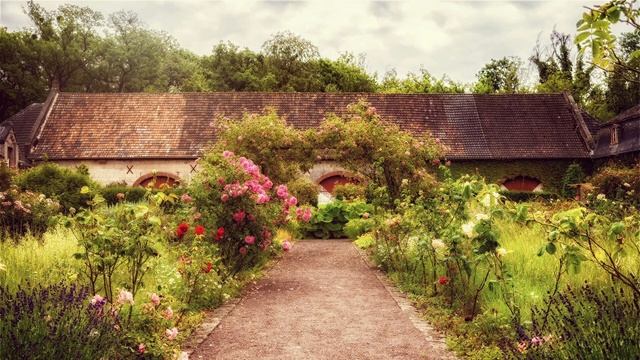 003791565f0e8708ca0f2bb47ec1ad46