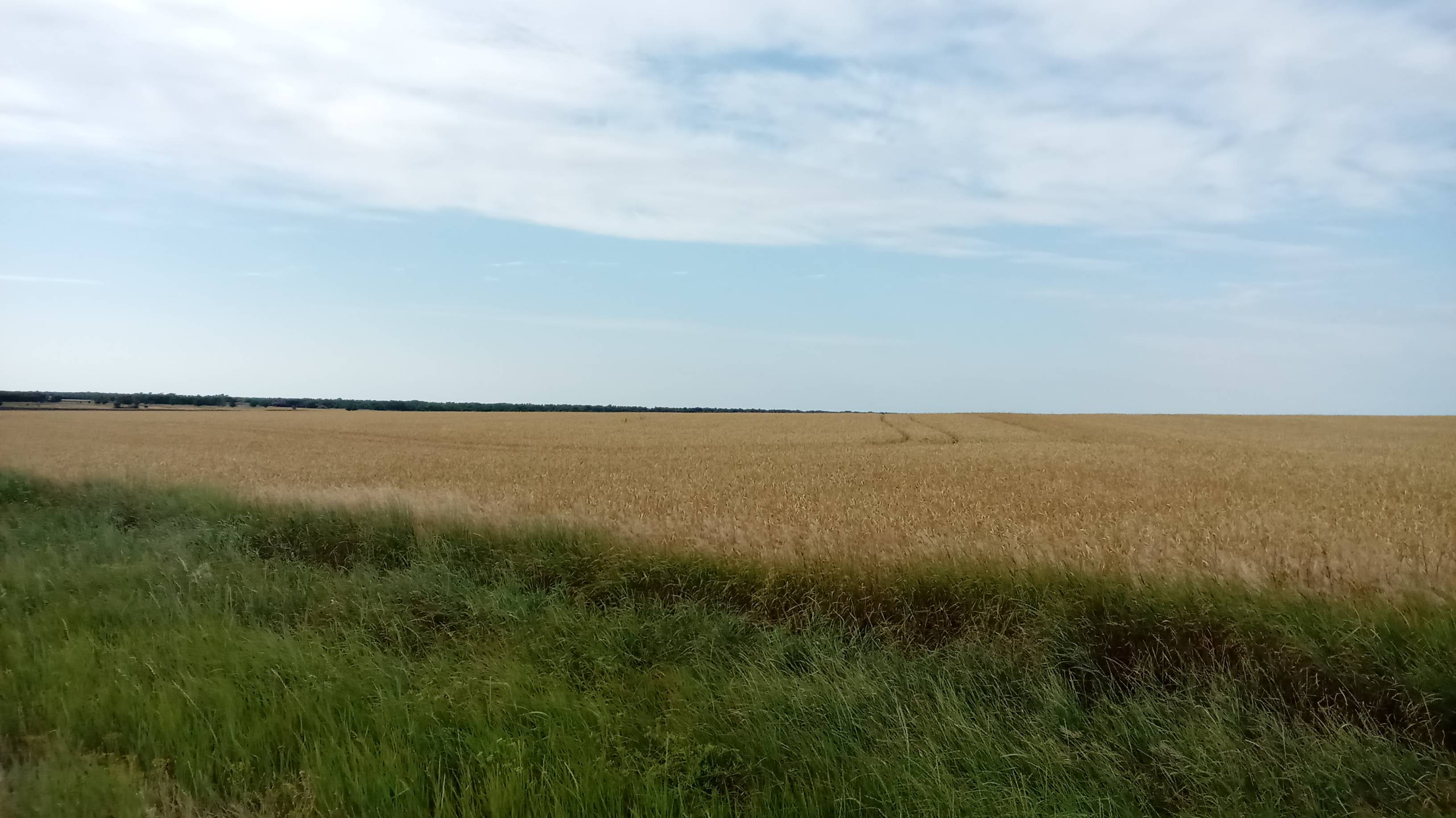 2aa3ab8755f0d8419fff81cf9b272db0