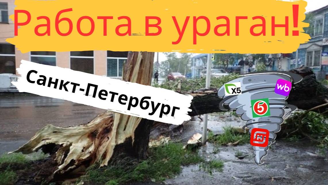 УРАГАН А МЫ КУРЬЕРИММАГНИТ СКИС доставка курьер wbдоставка магнитдоставка пятерочкавыручает