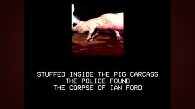 ANALOG HORROR - PIGS