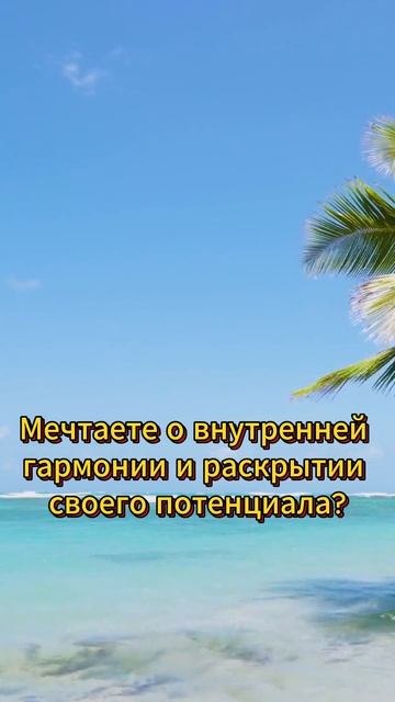 Фест-о-Драйв 