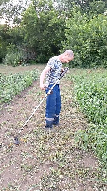 2bdaea8af9460869f0240d35f8d69a54