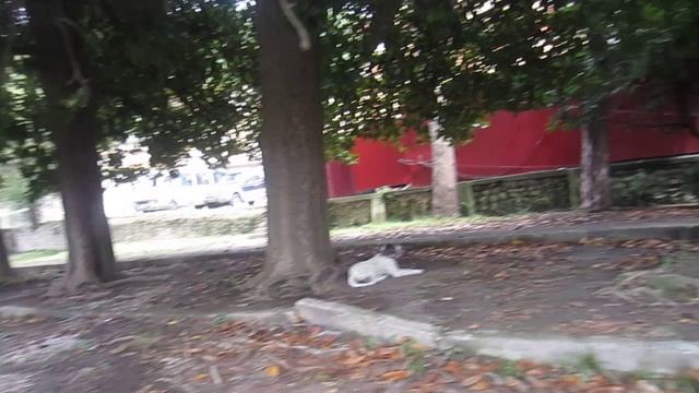 Пицунда 2012 часть 2