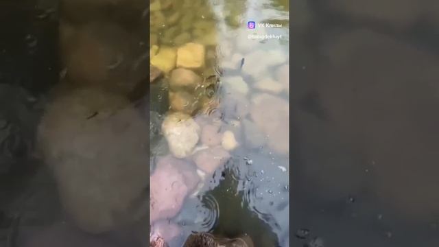 Юмор🤣🤣🤣🤣