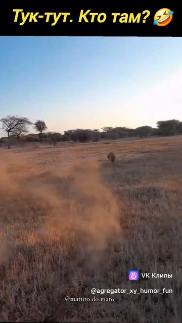 Юмор🤣🤣🤣🤣