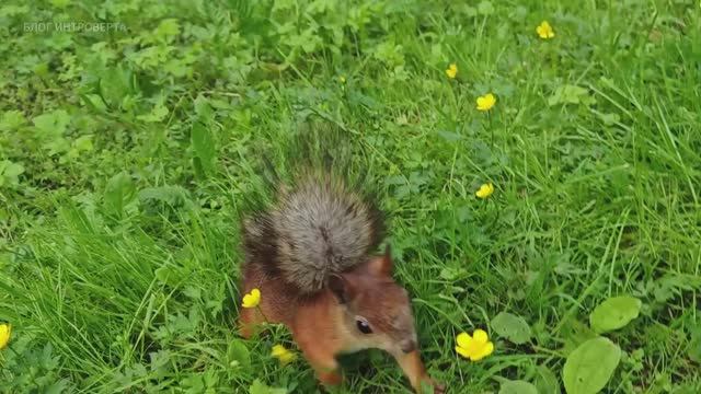 B206ee1cff72d89d4cef6944cb07471d