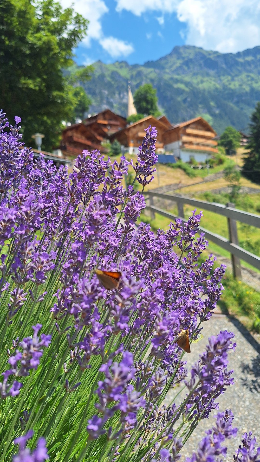 Самая красивая деревня в Швейцарии Wengen 🇨🇭🇨🇭🇨🇭