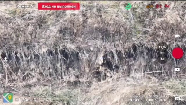 Сумское направление. Свинорезка в деле. #СВО #мобилизация