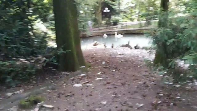 1 день из Сочи