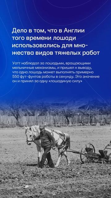 Лошадиная сила: откуда взялся термин и как с его помощью измеряется мощность двигателя