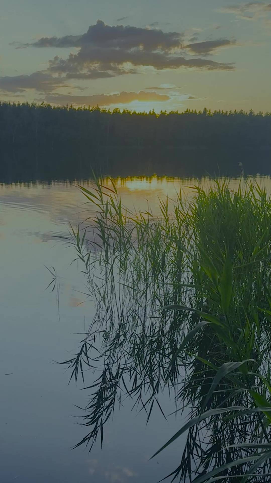 День премьеры уже совсем скоро! #музыка #фолк #кладоваясолнца #russianfolk #music #newmusic