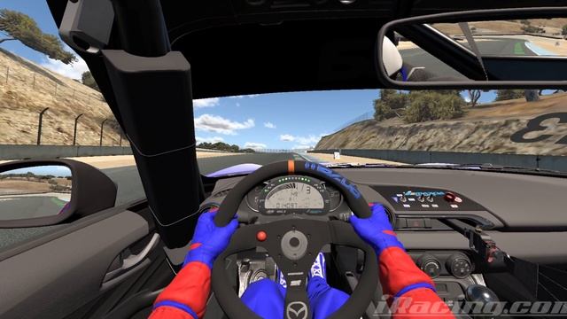 IRacing