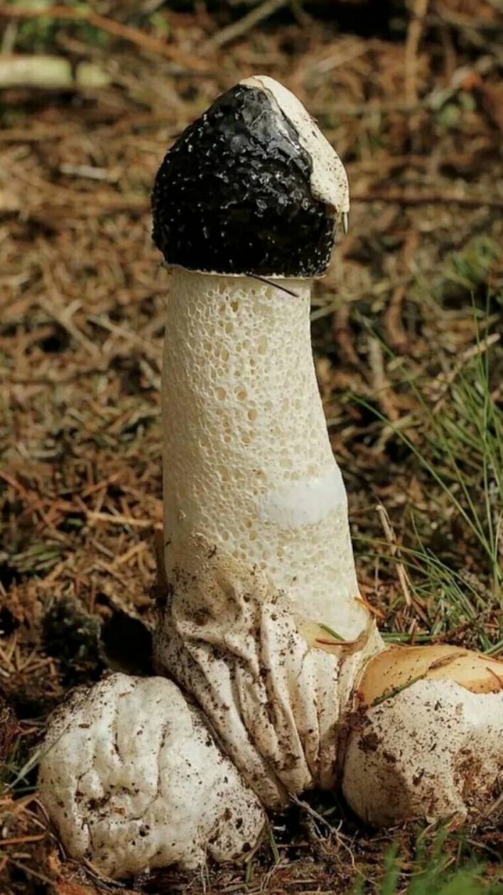 2e3867889c52a77a1cd2ed0b06e3e302