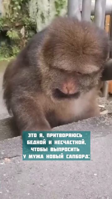 Кто также делает?