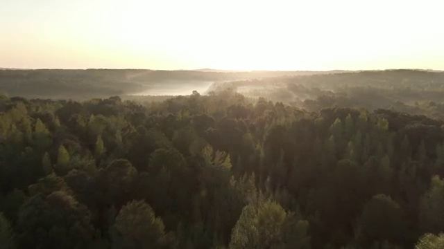 Cf4a82cd46c9096f298130f10e0bd622