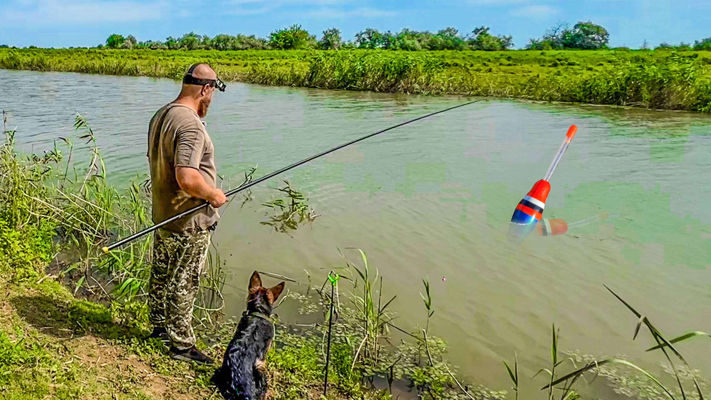 ПОПЛАВОК В КАМЫШИ И НАЧАЛОСЬ! КРАСНОПЕРКА ПРЕТ! РЫБАЛКА В АСТРАХАНИ 2025!