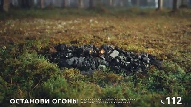 Туристам на заметку: как правильно тушить костёр