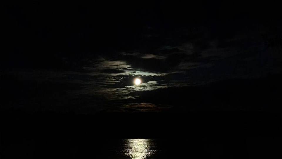 Отдых и рыбалка в Камне на оби в июле 2025