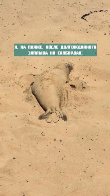 Кайф, да?