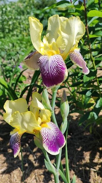 Пересорт от магазина Сияние