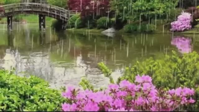 131afe42fa8f439ac6202245a2a721fd