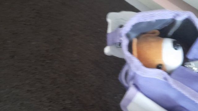 что в моей сумке