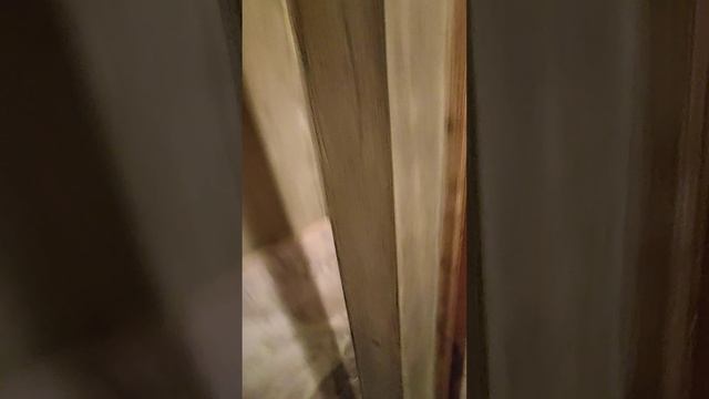 F8beffa2-12ad-4529-a387-c7ab18b91596-1_all_3079.mp4