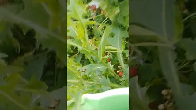 Bb58ed8bd25c1cb06a5fad36bb26900b