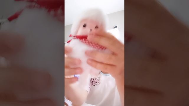 распаковка манчичи❤️🌈😸😻🐵