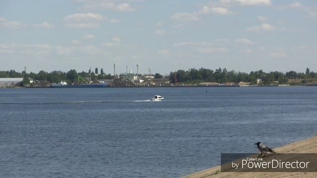 Летний коллажик