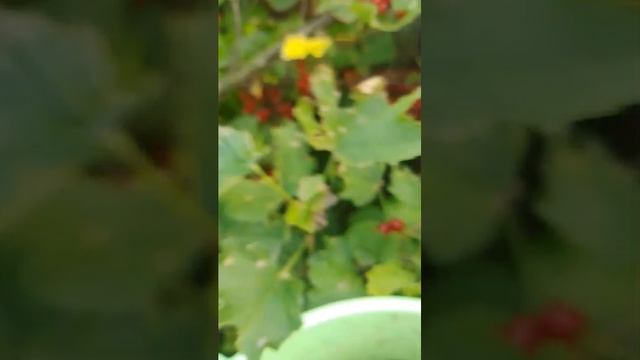 Fea4867d658de5e7ac14f63a813163ba