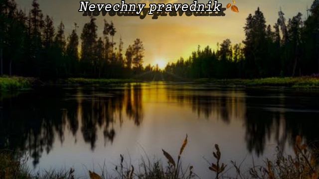 Нашиды на ночь