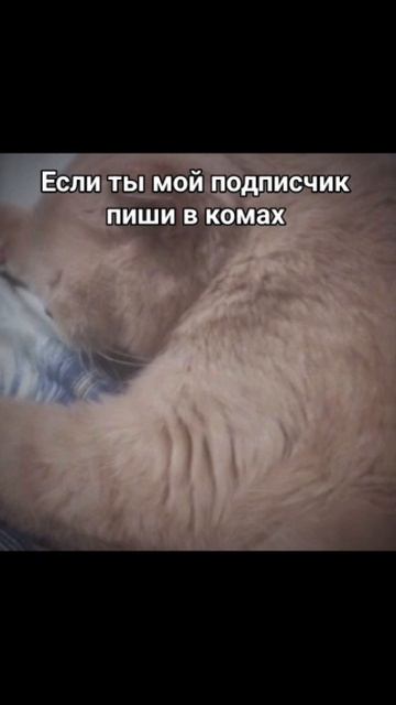 Dde23d3178542797ba8832c50f983fa0