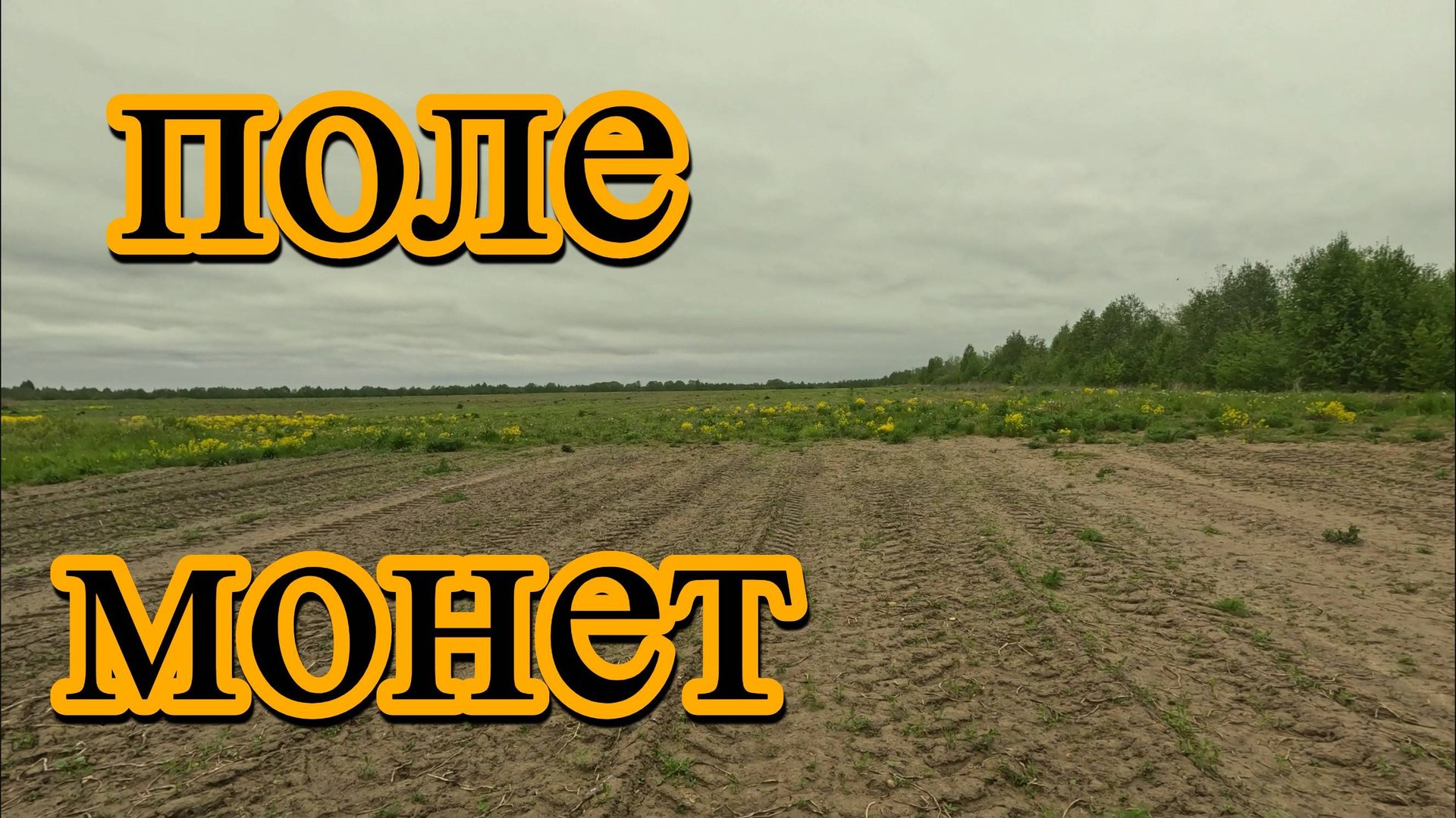 Пришел на поле и не зря