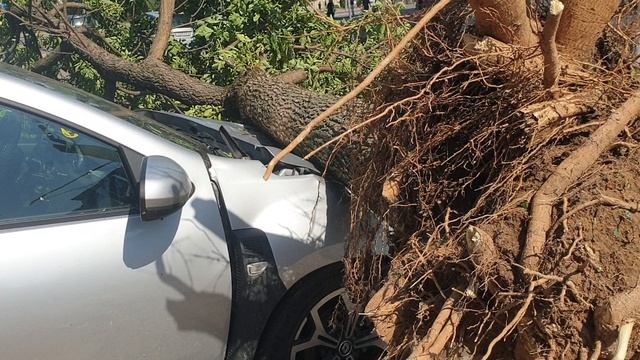 9531c137a23bb8d330d61320bf832e25