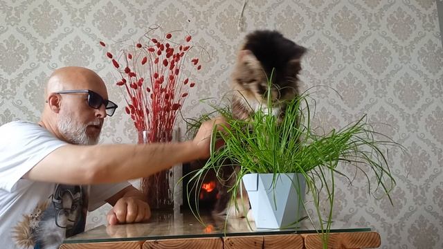 Помощь Приютам 🐈🐕❤️