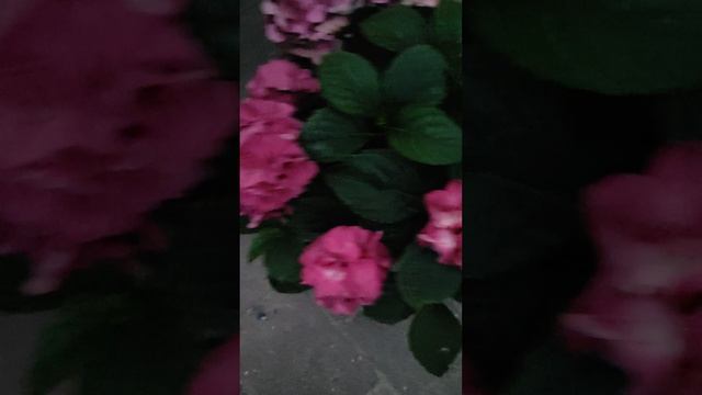 Таблетензия на 12.07.25.mp4