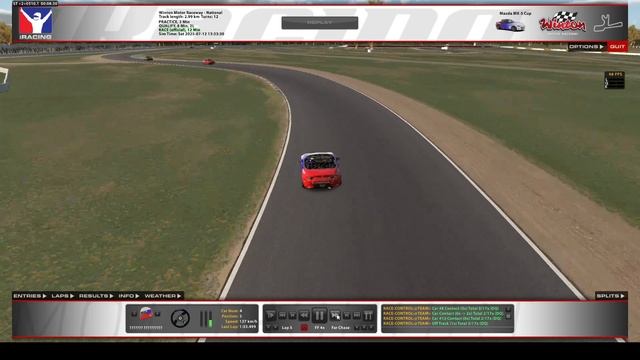 IRacing