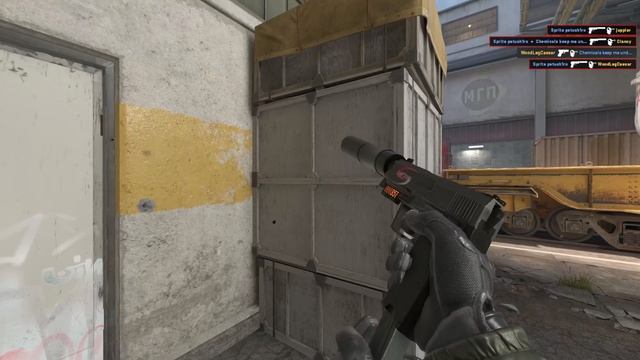 CS2 (FACEit PRO) Petus1ro De_train 4 HS Usp Clutch