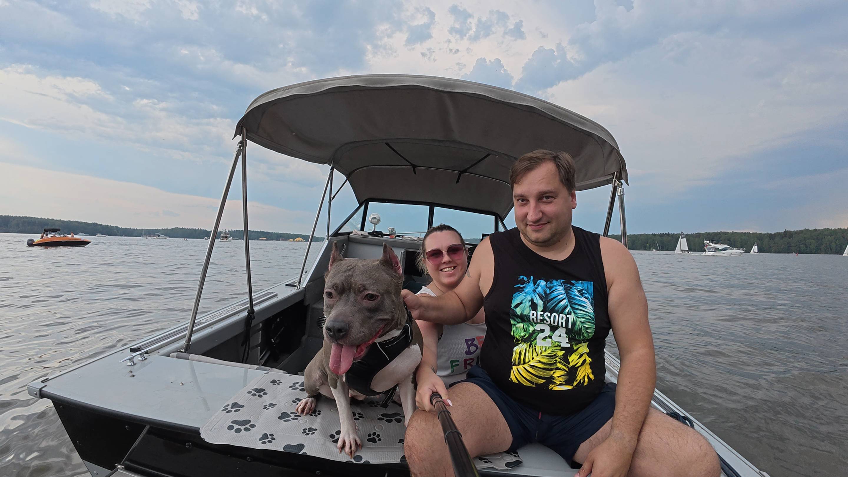 C6a1e1cb5a9473bf81722945dc687886