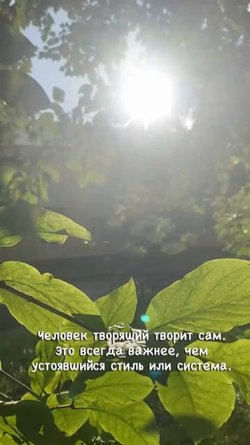 Мне красиво ❤️
#твори #ятворец #жизнь #дождь #красноярск #длядуши