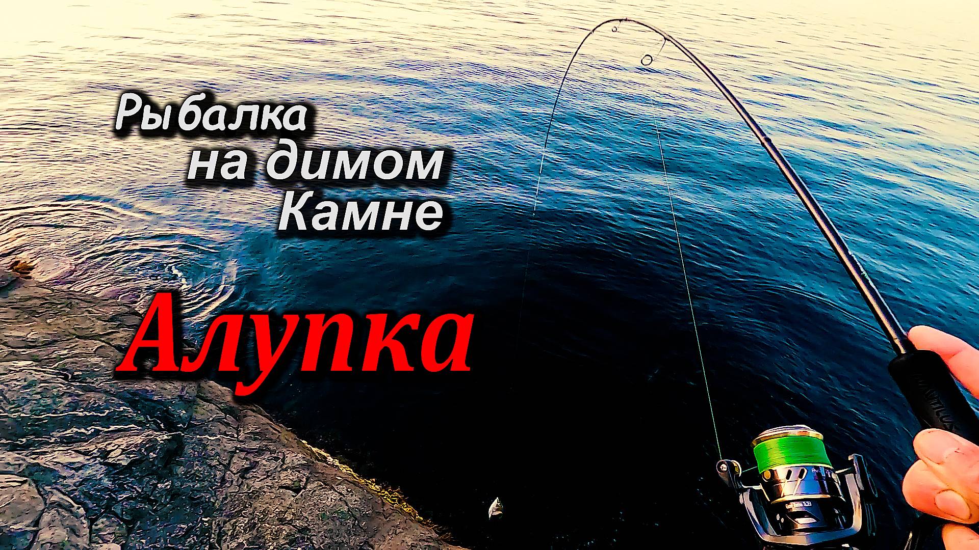 Морская Рыбалка в Алупке. Ночь на Диком Камне. Утренняя  Раздача Карася.